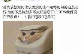 桦南企业清欠服务